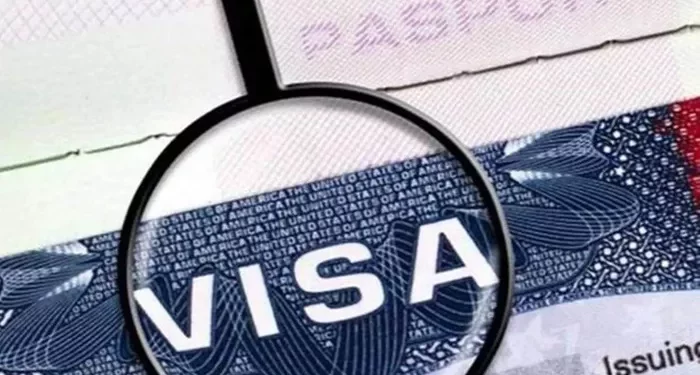 How to Apply for a New Zealand Work Visa: A Complete Guide
