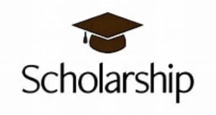 How to Apply for Postgraduate Scholarships