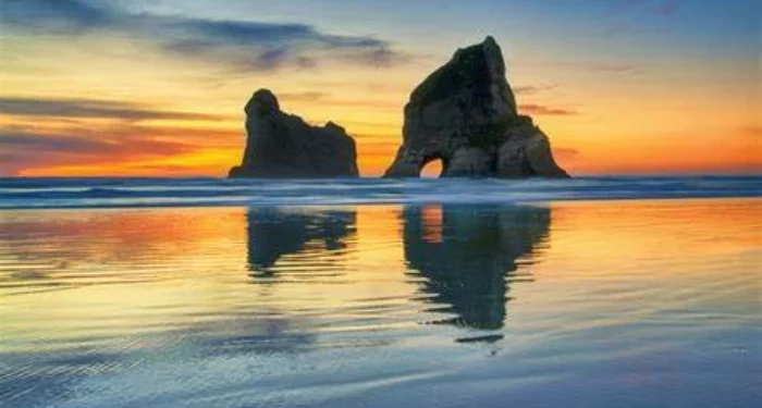 How Humans Arrived in New Zealand?
