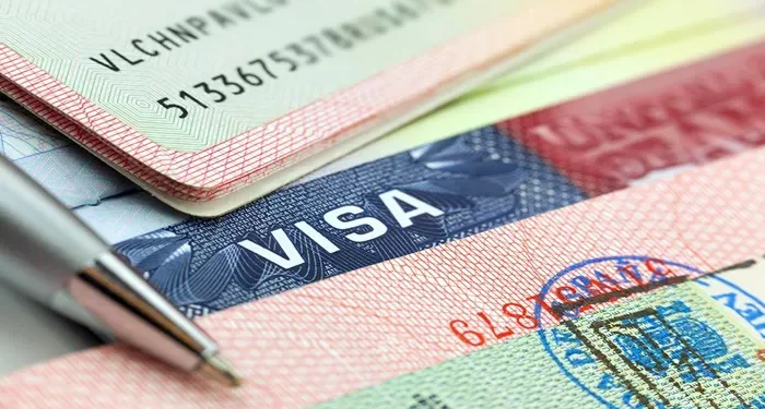 How to Apply for a Holiday Working Visa in New Zealand