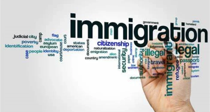 What Is Job Check In New Zealand Immigration